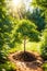 A small tree at sunrise, vertical composition