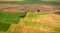 Small trees dot the Palouse landscape