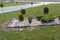 Small trees planted in the backyard garden in a separate place in the shape of a rectangle filled with small, white pebbles.