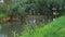 A small tributary of the river with banks and trees overgrown with greenery.