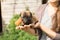 Small tricolor puppy with an orange bow