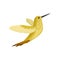 Small tropical bird in flying action. American hummingbird with long beak and yellow-brown plumage. Flat vector design