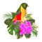 Small tropical bird with tropical flowers floral arrangement, with beautiful orchid and hibiscus,palm,philodendron and ficus vin