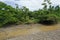 A small tropical river in the Amazonian rainforest with a canoe is placed along the riverbed