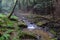 A small trout stream in the Appalachian Mountains.