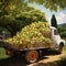 a small truck carrying a bounty of ripe, golden pears, neatly arranged for their journey