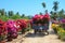 Small truck carrying flowers to the market in Vi Long, Vietnam