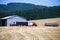 Small trucks and tractor on field at harvest time