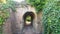 A small tunnel in the garden