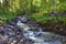 A small and turbulent mountain river flows through the morning forest