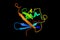 Small Ubiquitin-like Modifier SUMO protein, covalently