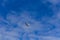 Small ultra light plane fly against blue sky with clouds. Extreme sport, travel background with copy space