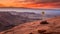 Small unknown seed sprouting on the edge of a mountain of mars, red sky, sunset and dawn and deep dead valley in the background