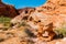 Small Unnamed Arch In The Upper Fire Canyon Wash