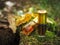 Small unopened bottle with the contents on the green natural background. A small bottle of agarwood oil at natural green backgroun