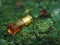 Small unopened bottle with the contents on the green natural background. A small bottle of agarwood oil at natural green backgroun