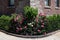 Small Urban Corner Garden with Pink Rose Bushes along an Old Brick Apartment Building in Astoria Queens New York