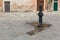 A small urban fountain in venice and thirsty seagull gull