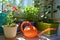 Small urban garden on the balcony. Blooming flowers in pots