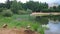 Small urban lake, inhabited by ruddy Shelduck, Moscow suburbs Russia.