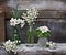 Small vases and bottles with lilies, daffodils