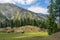 Small village at Fairy Meadow in summer, Gilgit, Pakistan