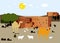 A small village in the heart of the desert with a clay house, camels and sheep.