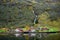 Small village on the waterfront and mountains in the autumn season at Flam in Norway