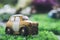 Small vintage cars model on green grass