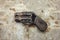 Small vintage double barrel handgun