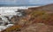 Small walking path called Bluff Trail on the rocky Central California coastline at Cambria California United States