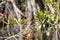 Small warbler sitting on the branch