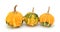 Small warted gourds with lumpy skins - green and yellow
