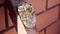 A small wasp nest with wasps on a metal beam close-up.