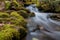 Small Water Fall in Mingus Creek