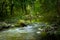 Small water stream near Veselina river and Kapinovski waterfall in Bulgaria