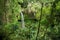 Small waterfall in Amber mountain national park