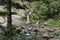 Small Waterfall Carpathian Mountains. Small Waterfall in the wood