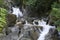 Small Waterfall Cascade in Rocky Stream as it rushes through the Forest