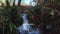 small waterfall with clear crystal water in a forest stream, slow motion