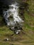 Small waterfall at a creek accompanied by purple heather running down Green Hills at Glenshee Valley, Grampian Mountains, Scotland