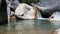 Small waterfall in the creek Barbaria, Rocchetta Nervina