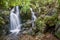 Small waterfall in the dark forest. Waterfalls and vegetation inside the Bwindi Impenetrable Forest