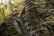 Small waterfall drips down into Glen gorge in state park