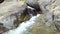 A small waterfall flowing over a large rock