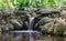 Small waterfall flowing on rock in woods