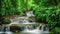 A small waterfall flows through a dense, vibrant green forest, creating a picturesque sight, River cascading through a lush