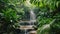 A small waterfall flows gracefully through a vibrant landscape of lush green plants, Tropical rainforest with multi-level
