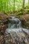 Small waterfall in the forest in spring