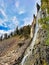 Small waterfall formed by mountain stream tumbling over a rocky cliff in Montana